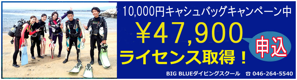 ダイビングライセンス神奈川の費用格安の最短2日の説明