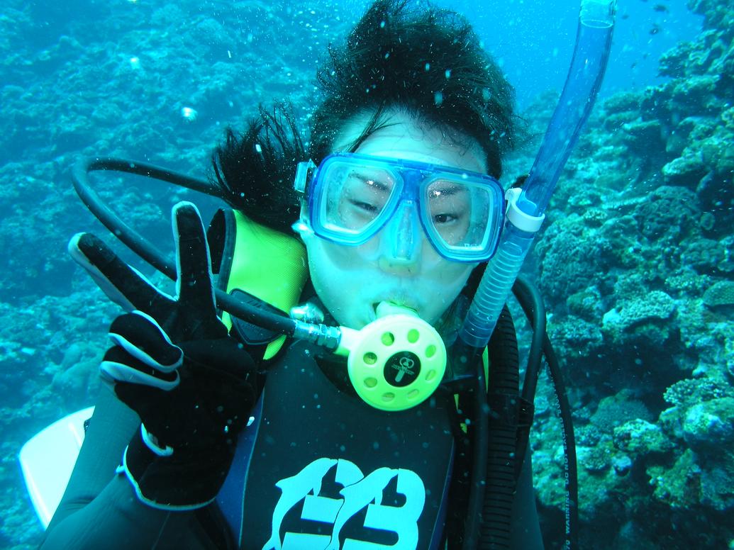 ダイビング(石垣島ツアー)水中の写真 19