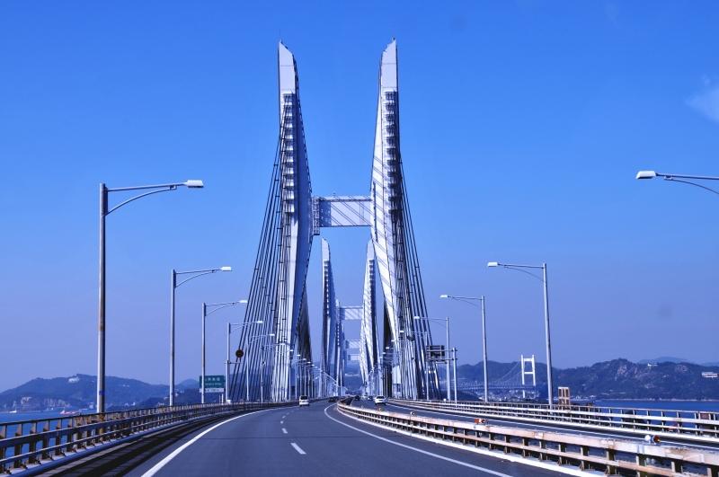 四国ダイビングの写真の写真 25