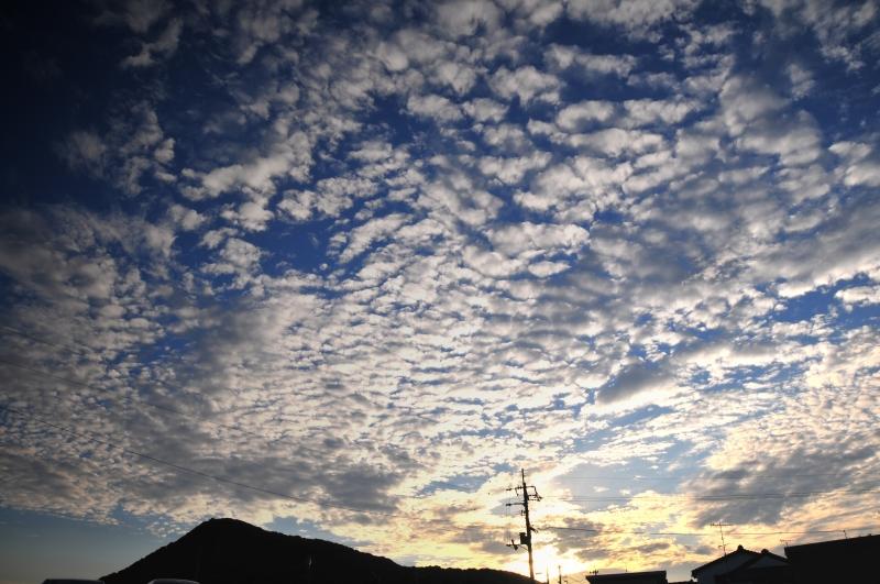 四国ダイビングの写真の写真 8