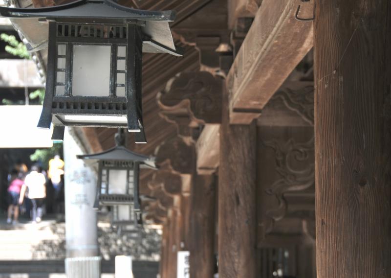 四国ダイビングの写真の写真 23