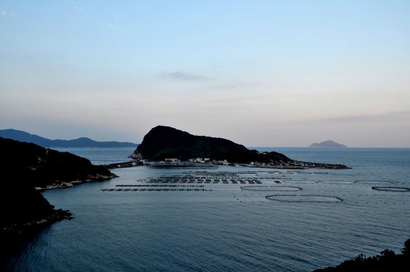 四国ダイビングの写真の写真 15