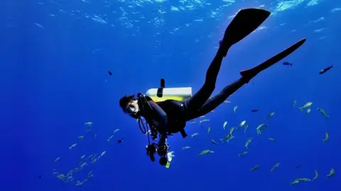 ダイビング・スキューバダイビング写真
