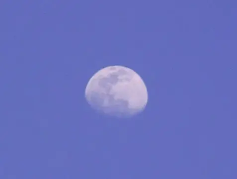 2004年5月ＧＷダイビングツアーの写真 14