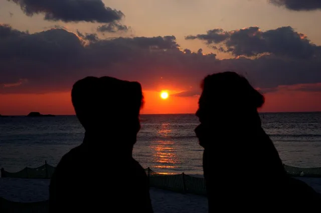 白浜・ダイビングツアーの写真 21