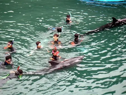 富戸~海中公園ドルフィンツアーの写真 13