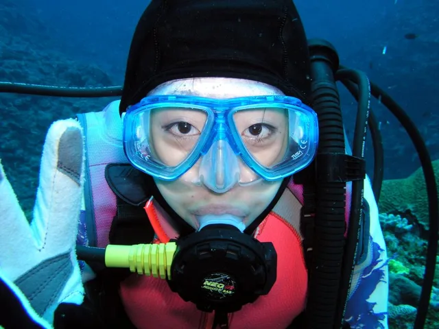 ダイビング(石垣島ツアー)水中の写真 22