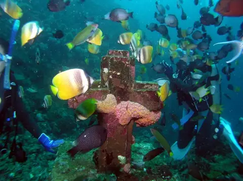 フィリピンミンドロ島・年越しダイブツアーの写真 7