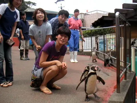 富戸~海中公園ドルフィンツアーの写真 2