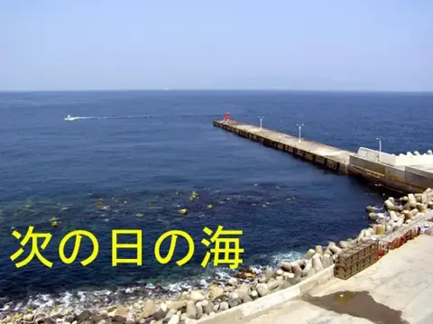 利島イルカツアーの写真 2
