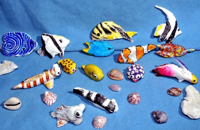 四国ダイビングの写真の写真 13