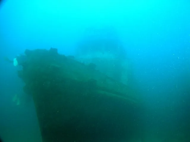 2005年・年越南紀白浜ダイビングツアー(水中編)の写真 8