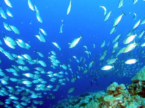 沖縄・渡嘉敷島ツアーフォトグラフの写真 36