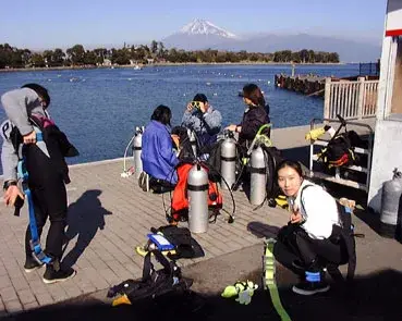 ダイビングツアー1月31日・大瀬崎の写真 2