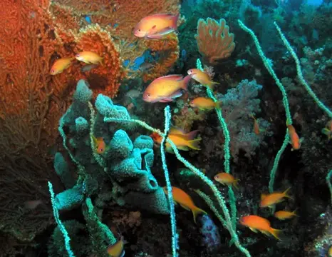 極寒の大瀬に春の海の息吹・ツアーフォトグラフの写真 7