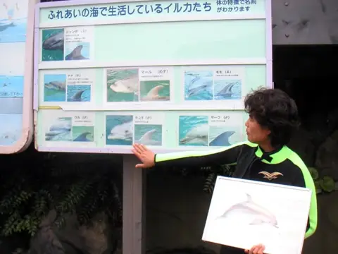 富戸~海中公園ドルフィンツアーの写真 6