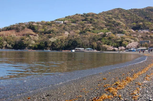 海岸アート教室風景の写真 5