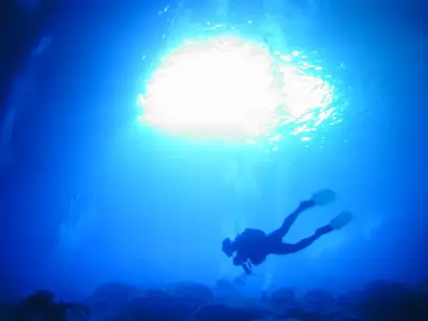 SAIPAN
ツアーフォトグラフの写真 38