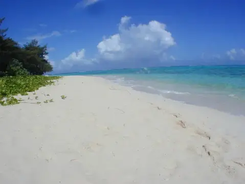 SAIPAN
ツアーフォトグラフの写真 27