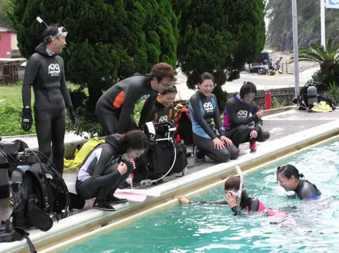 獅子浜・浮島ダイビングツアーの写真 5