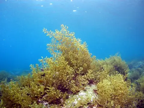 極寒の大瀬に春の海の息吹・ツアーフォトグラフの写真 4