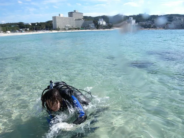 ダイビング　ライセンスツアーの写真【和歌山県白浜】の写真 5