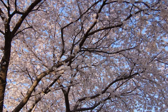海岸アート教室風景の写真 1