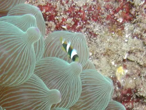 中木ツアーの写真 4