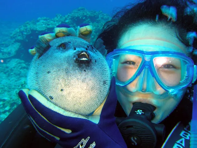 沖縄・渡嘉敷島ビーチ・水中写真の写真 14