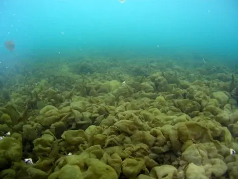 極寒の大瀬に春の海の息吹・ツアーフォトグラフの写真 1