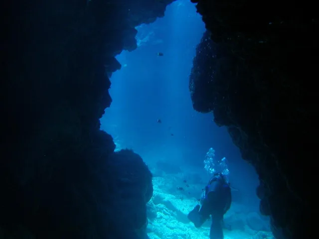 沖縄・渡嘉敷島ビーチ・水中写真の写真 27
