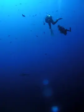 水中に差し込む光とダイバー