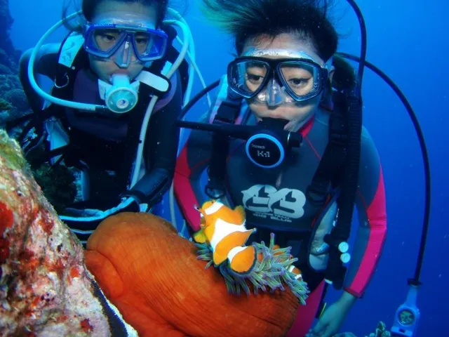 石垣島ダイビングライセンスツアーの写真の写真 13