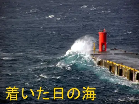 利島イルカツアーの写真 1