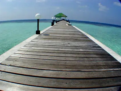 モルディブ海中・風景写真の写真 5