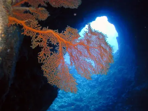 SAIPAN
ツアーフォトグラフの写真 13