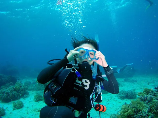 ドマゲッティ　ダイビング・水中写真の写真 21