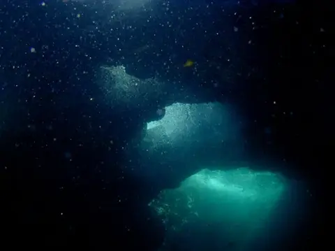 沖縄・渡嘉敷島ツアーフォトグラフの写真 11