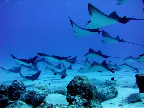 SAIPAN
ツアーフォトグラフの写真 4