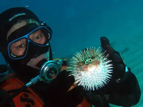 四国・柏島ダイブツアーの写真 6