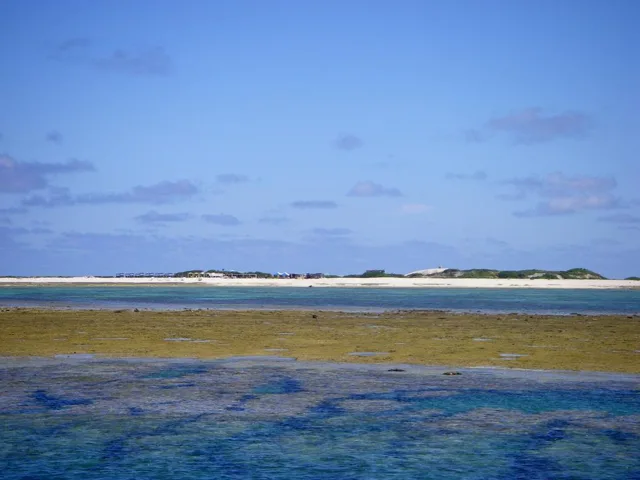 沖縄・渡嘉敷島ビーチ・水中写真の写真 8
