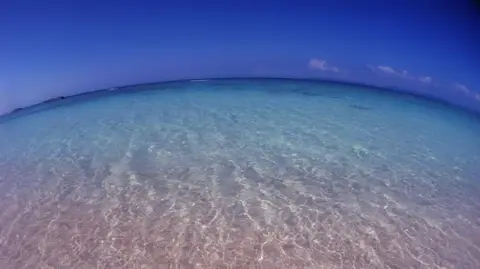 海の水平線の写真