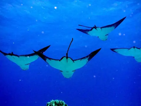 SAIPAN
ツアーフォトグラフの写真 5
