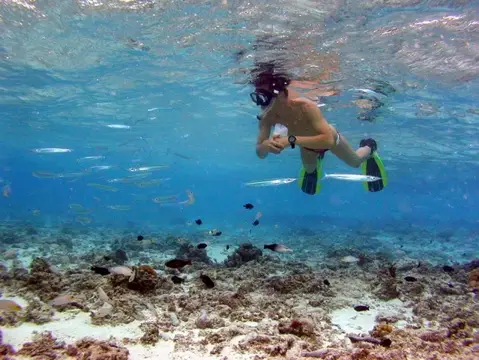 SAIPAN
ツアーフォトグラフの写真 29