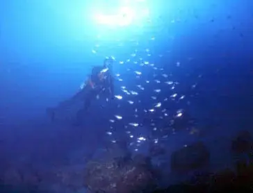 水中のダイバーと差し込む太陽の光