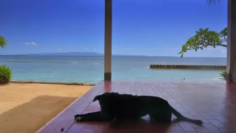 バリ島の海と空