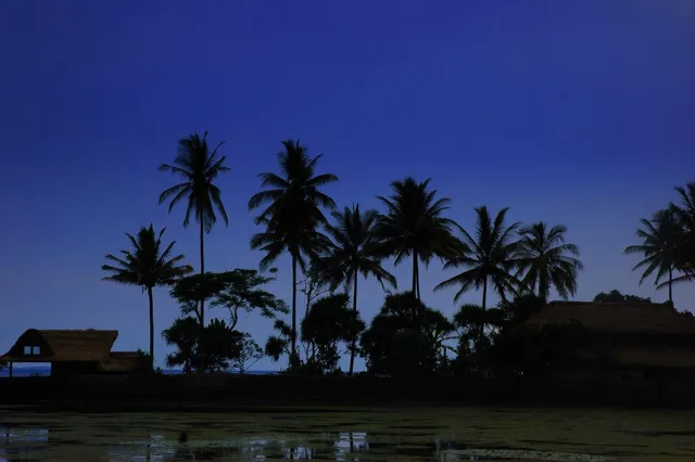 バリ島の写真の写真 4