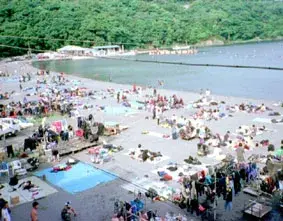大瀬崎日帰りナイトツアーの写真 1