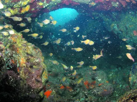 沖縄・渡嘉敷島ツアーフォトグラフの写真 10