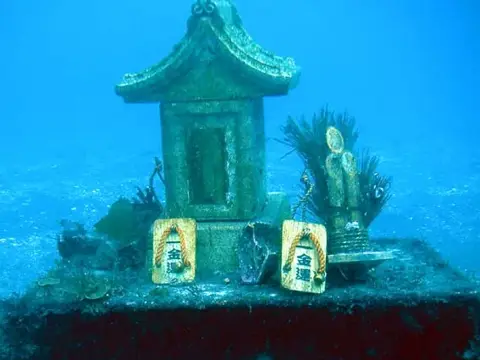 八幡野・大瀬崎の写真 5